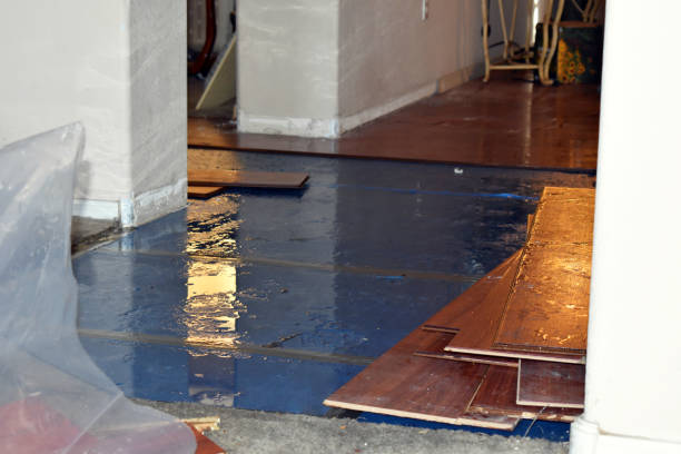 Professional Burst Pipe Cleanup technician working in Easton, CA